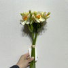 Artificial Daffodil Bouquet, Cream White with Orange-Yellow Ruffled Center