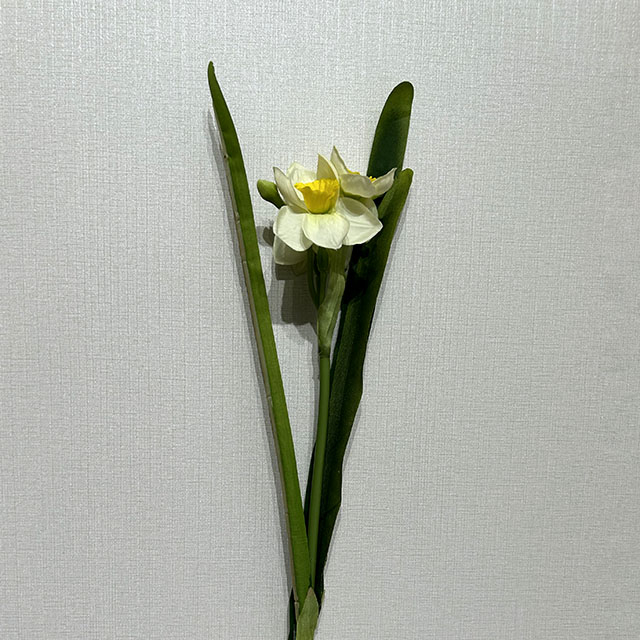  Cream White with Bright Yellow Ruffled Center,3-Head Single Stem Artificial Daffodil