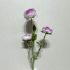 3-Head Single Stem Artificial Ranunculus, Lavender Purple-White Bi-Color Ombré