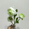 3-Head Single Stem Artificial Ranunculus, Cream-Light Green Ombré