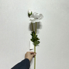 Artificial White Poppy Stem, Double Bloom with Foliage