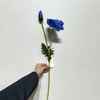 Artificial Blue Poppy Stem, Double Bloom with Foliage