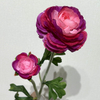 Artificial Gradient Pink-Purple Ranunculus Stem