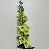 Artificial Light Green Delphinium Stem