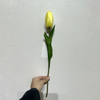 Long Stem with Foliage,Artificial Yellow Tulip Stem