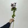 Artificial Light Lavender Anemone Stem