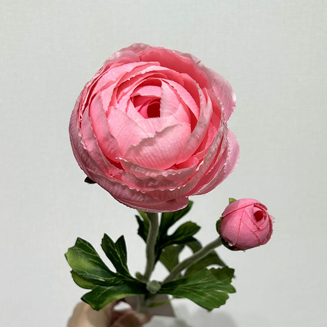  Blush Pink Ranunculus Stem Artificial