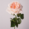 Artificial Austin Rose Stem Bundle (10 Color Options)