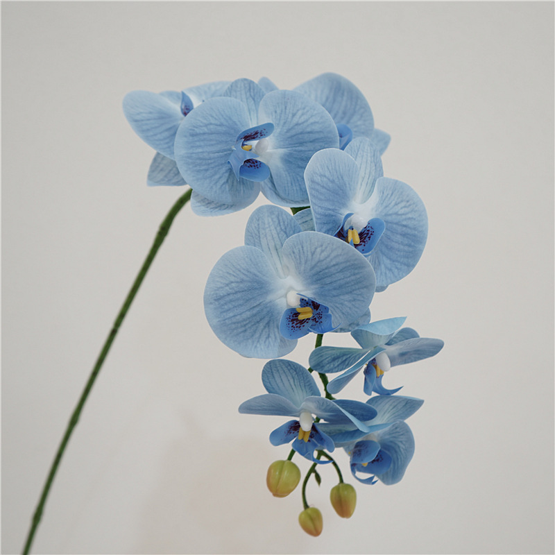QH26S04011H.jpg