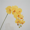 Artificial Phalaenopsis Orchid Stem Bundle (13 Color Options)