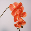 Artificial Phalaenopsis Orchid Stem Bundle (9 Color Options)