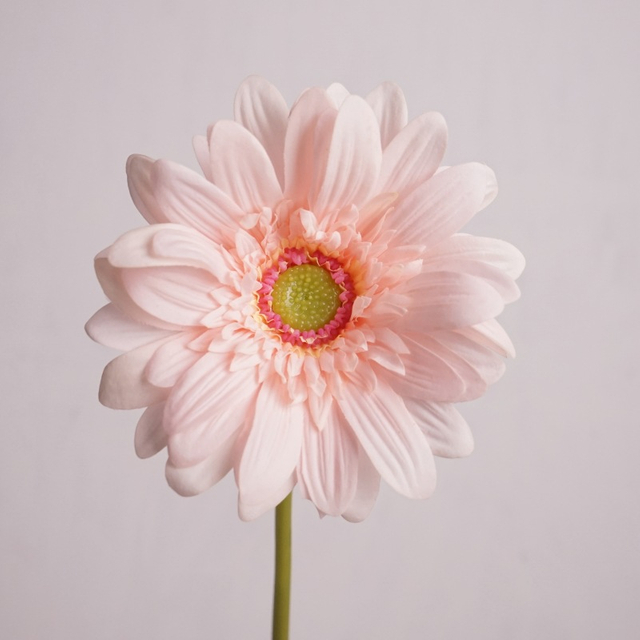 Artificial Gerbera Daisy Stem Bundle (8 Color Options)