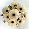 Artificial Vintage Cream Anemone Stem Bundle
