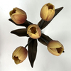 Artificial Flower Stem Vintage Brown Tulip