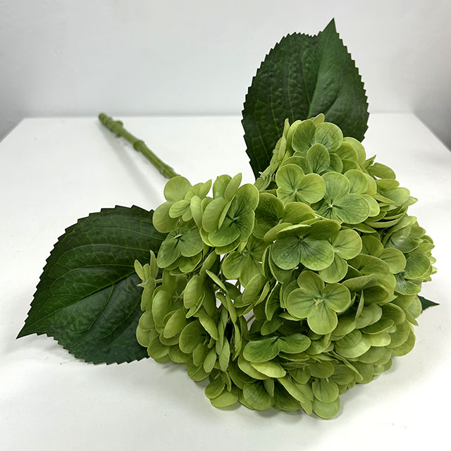 QH26327073 010.jpg