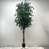Artificial Ficus Tree (Faux Weeping Fig / Ficus Benjamina Tree with Lush Evergreen Foliage)