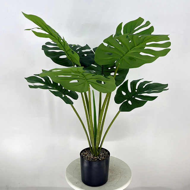 QH27G3073 绿色龟背高73cm8叶.jpg