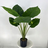 Artificial Philodendron Tree (Faux Elephant Ear Philodendron with Large Tropical Leaves)