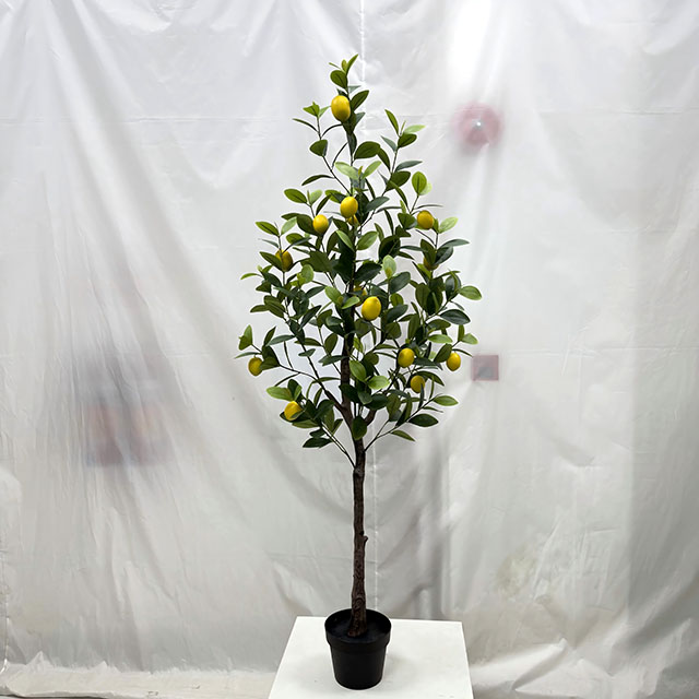 QH27G3139 150cm.jpg
