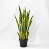 Artificial Cactus Succulent Tree (Faux Snake Plant / Sansevieria with Iconic Striped Leaves)