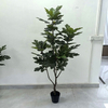 Artificial Fig Tree (Faux Ficus carica Tree with Lifelike Figs & Lush Evergreen Foliage)